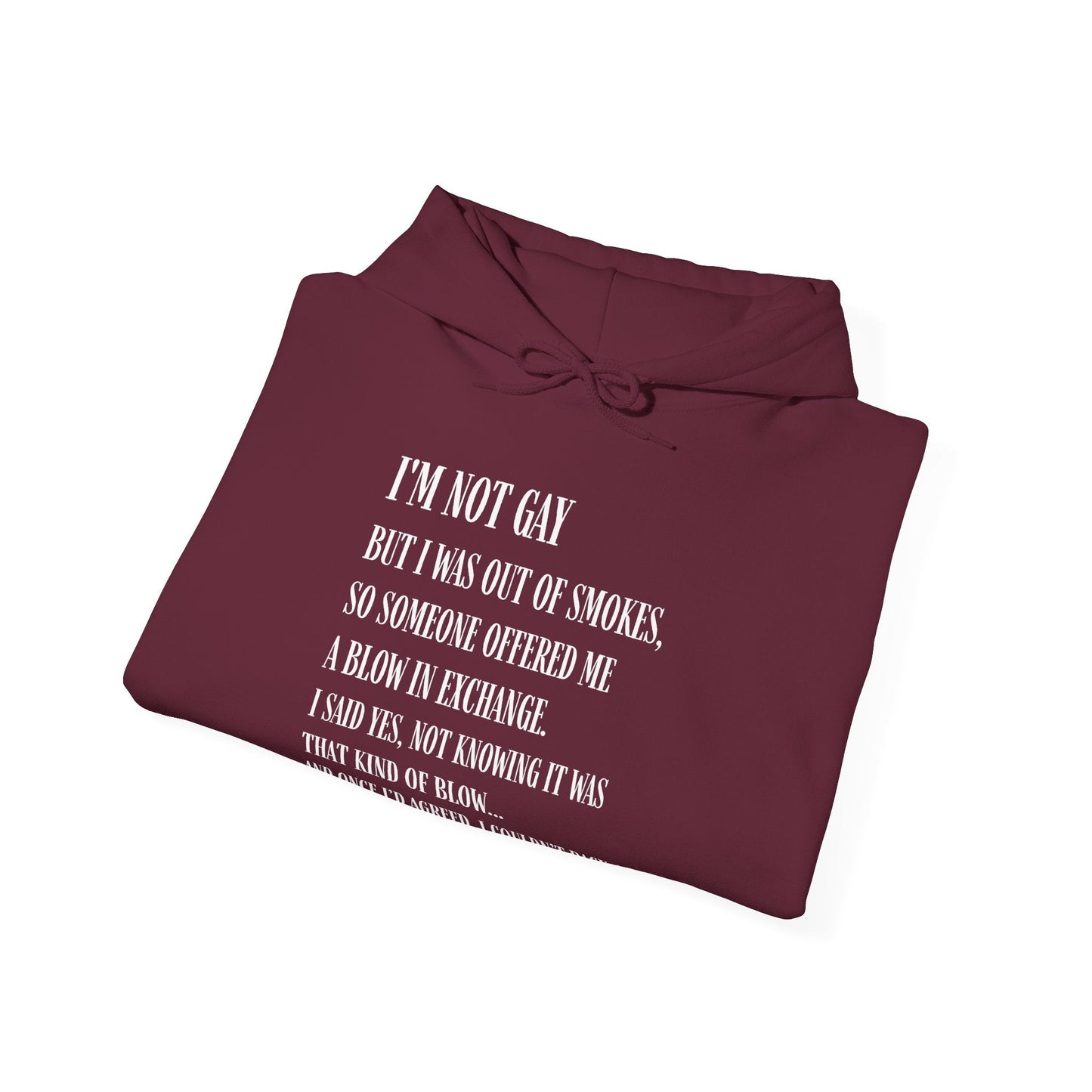 I'm Not Gay But I Was Out of Smokes Hoodie - Hoodie - The Lucky Wombat