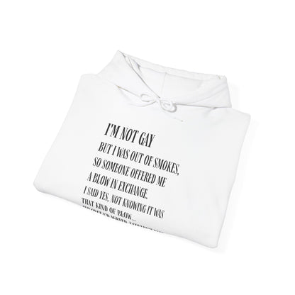 I'm Not Gay But I Was Out of Smokes Hoodie - Hoodie - The Lucky Wombat
