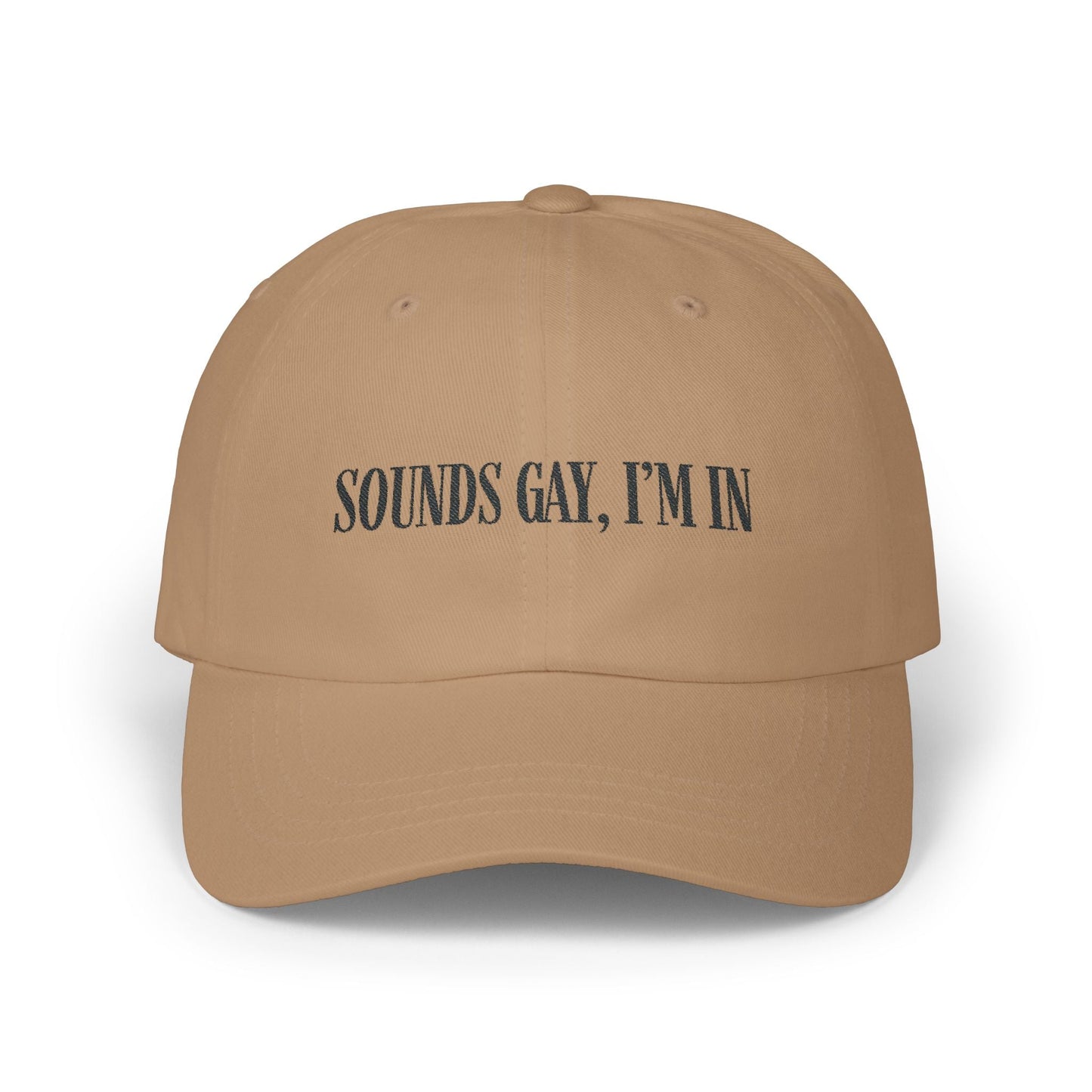 'Sounds gay, I’m in' Cap, Black on light - Hats - The Lucky Wombat