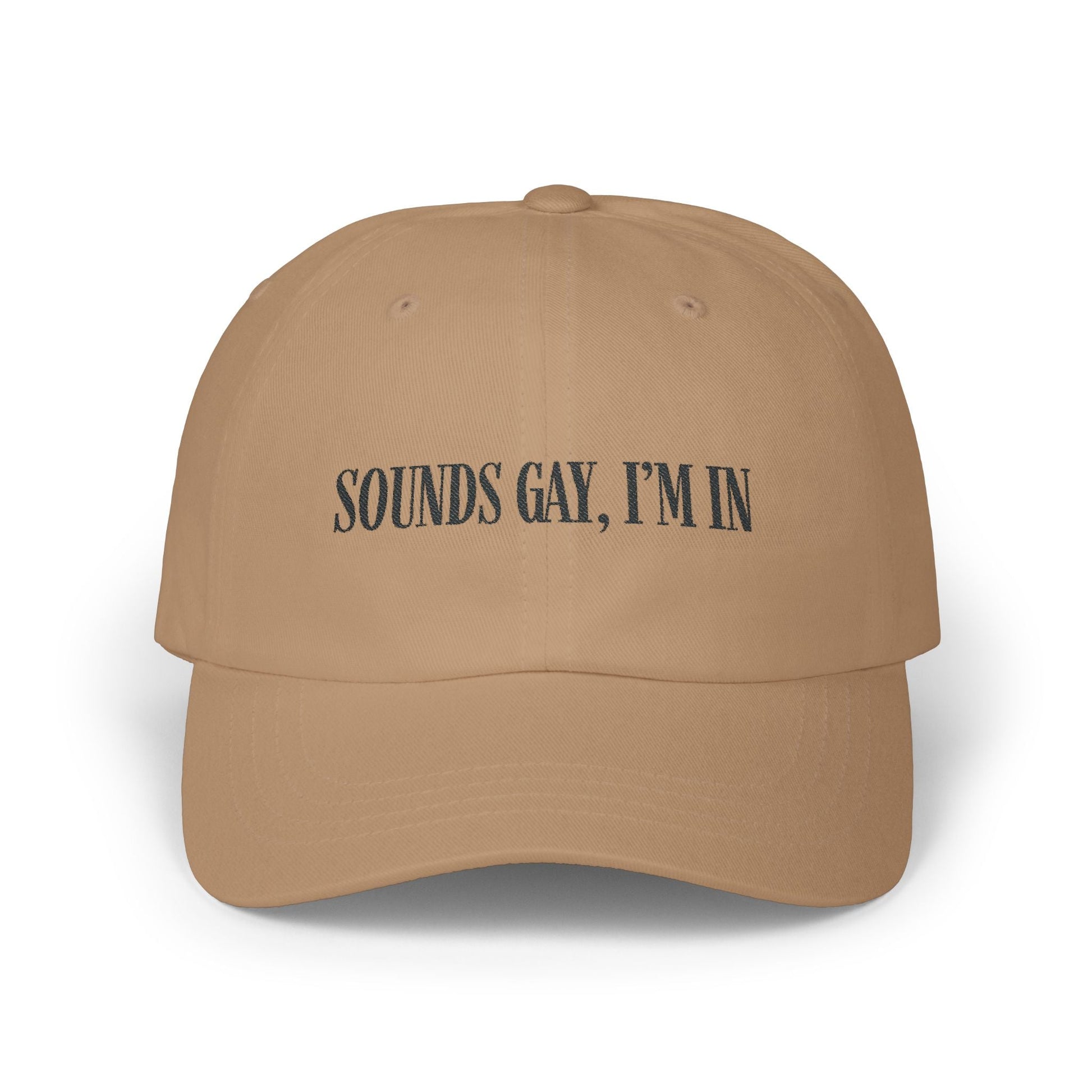 'Sounds gay, I’m in' Cap, Black on light - Hats - The Lucky Wombat